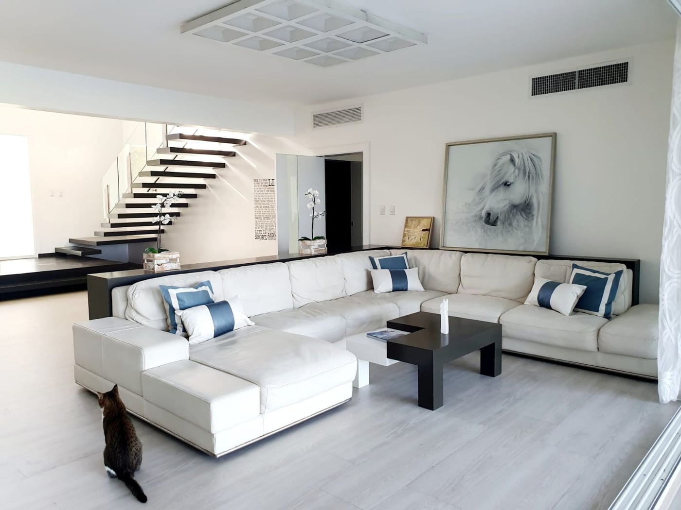 Exclusiva Villa de lujo en alquiler. Cocotal – foto 5