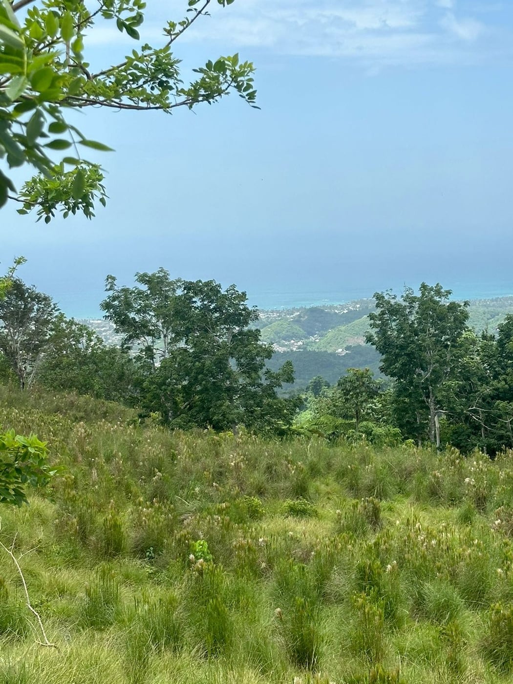 Terreno en Los Puentes, Las Terrenas Samana – foto 10