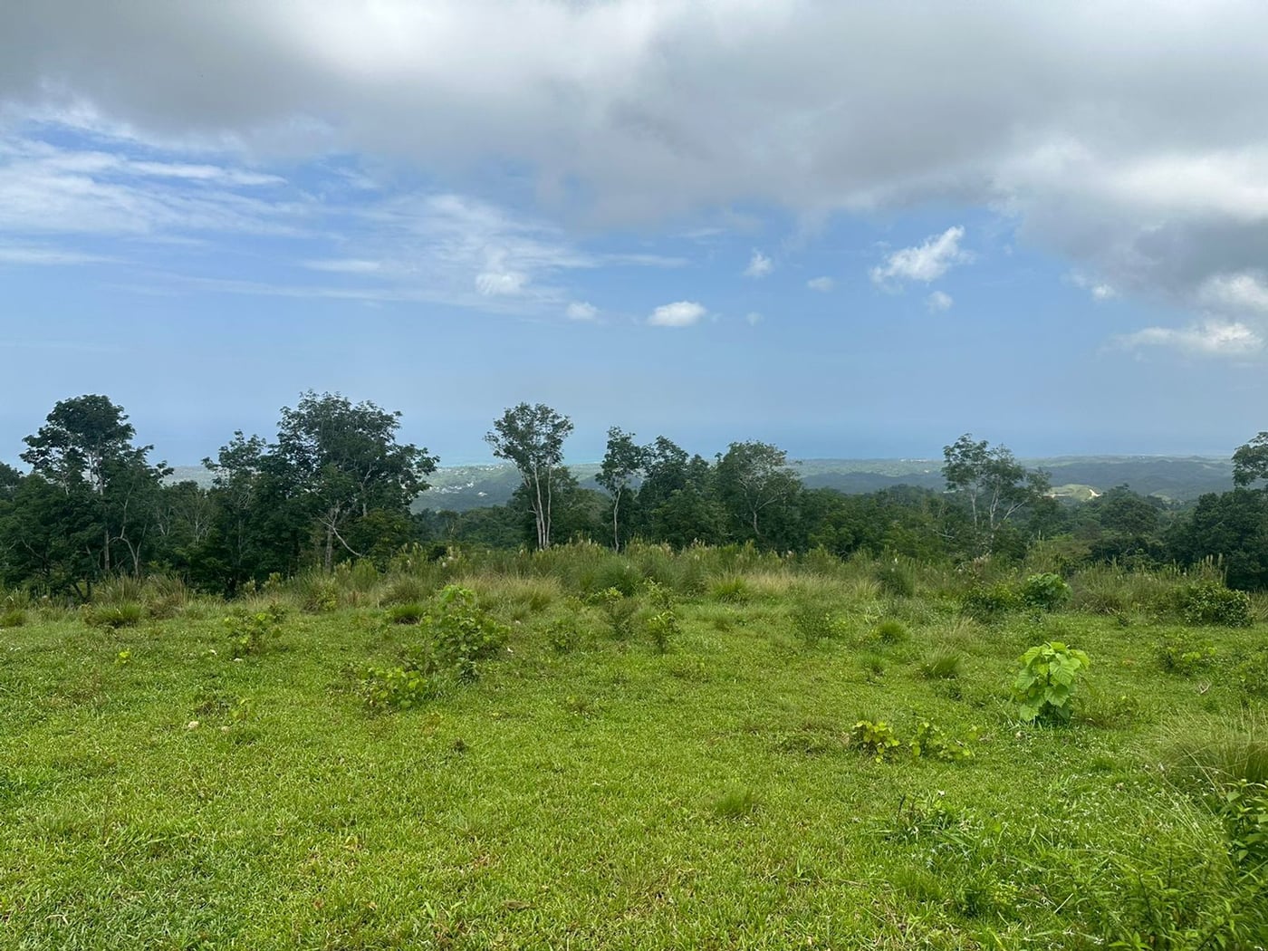 Terreno en Los Puentes, Las Terrenas Samana – foto 7