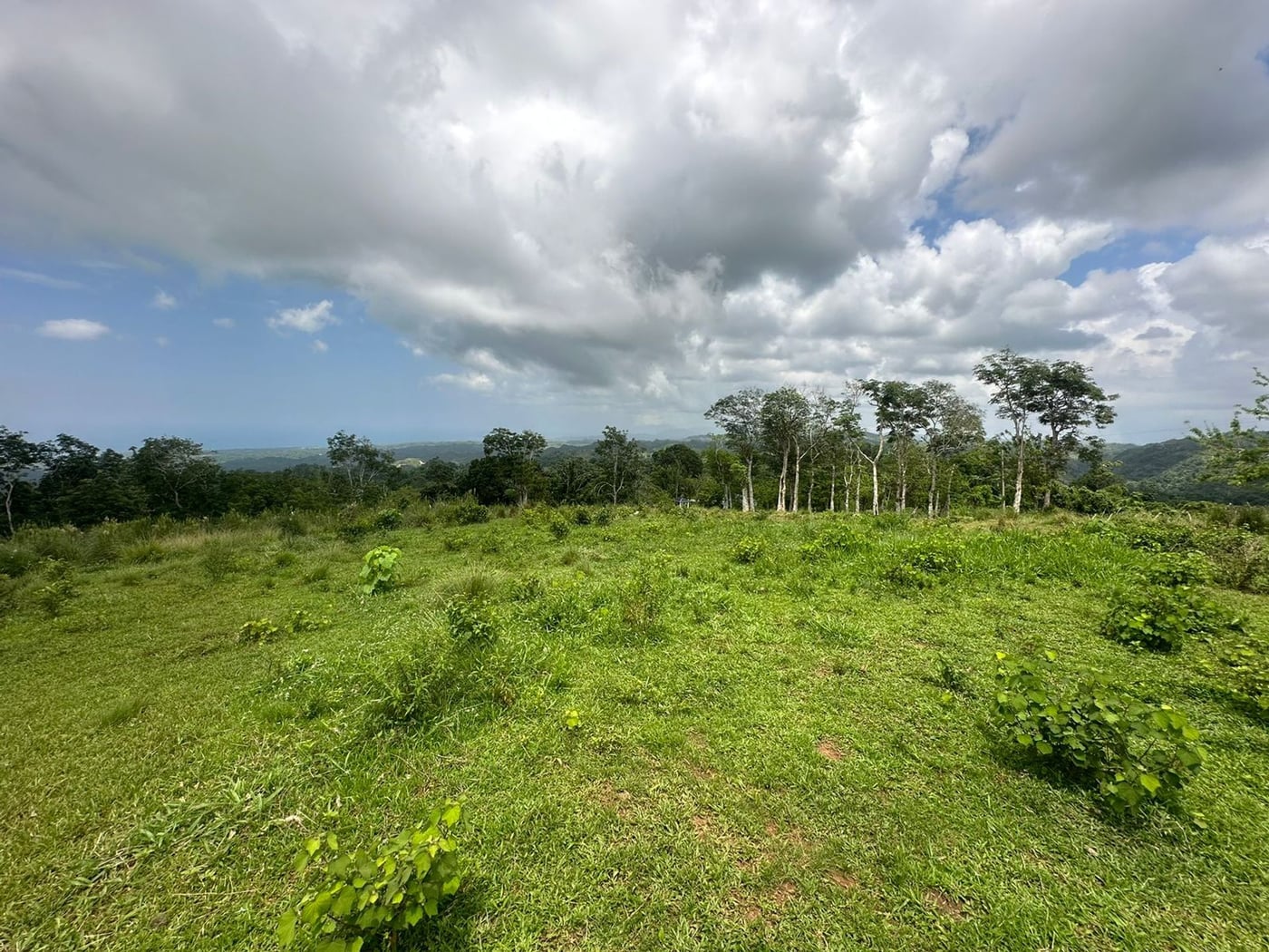 Terreno en Los Puentes, Las Terrenas Samana – foto 6