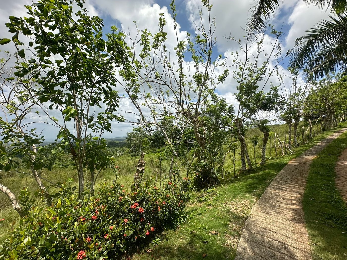 Terreno en Los Puentes, Las Terrenas Samana – foto 12