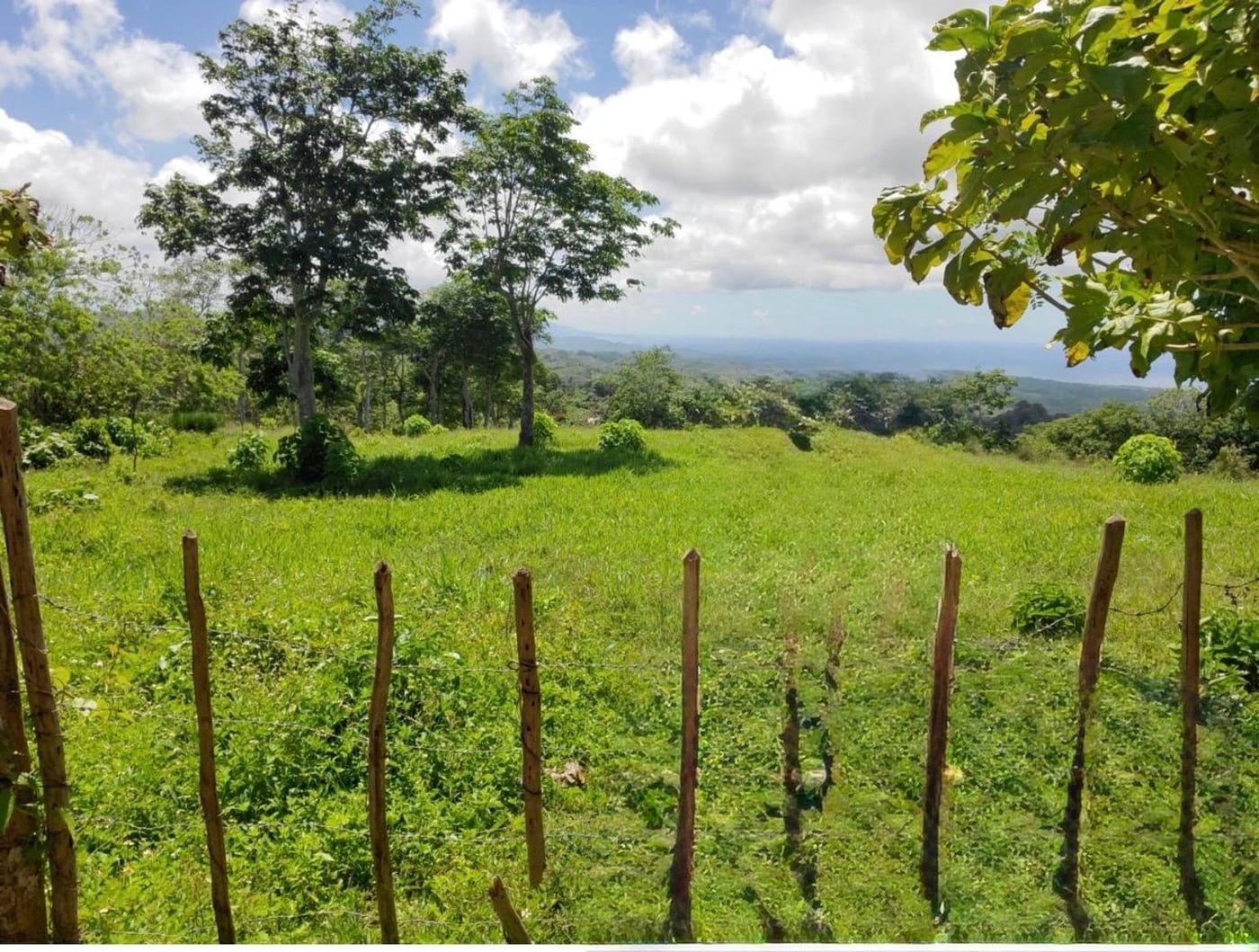 Terreno en Los Puentes, Las Terrenas Samana – foto 3