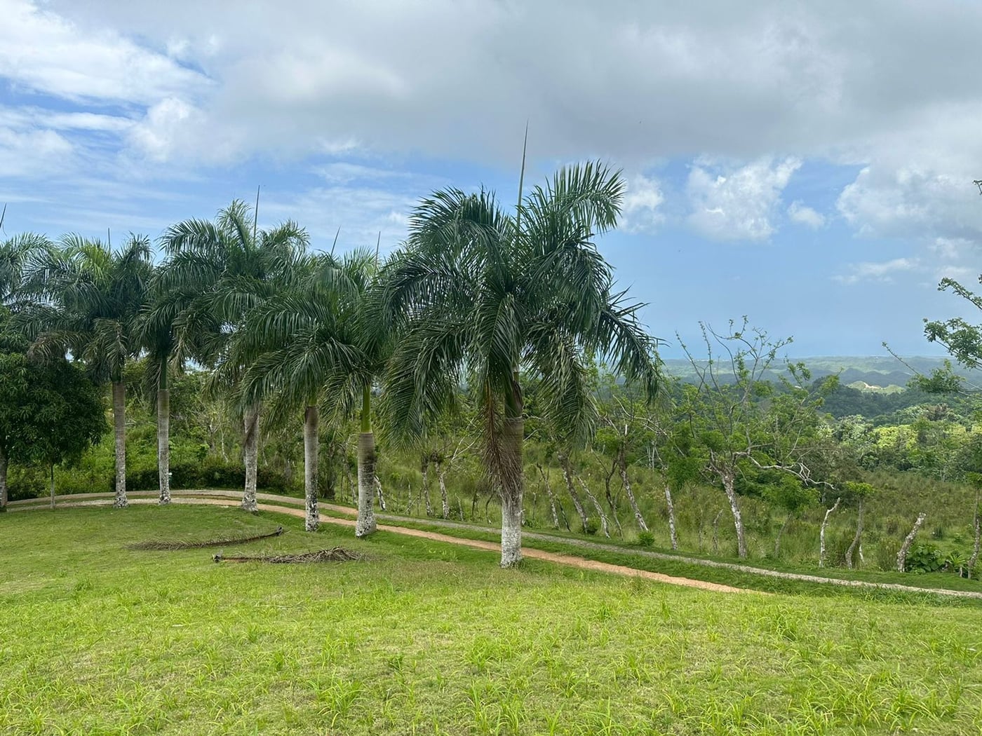 Terreno en Los Puentes, Las Terrenas Samana – foto 5
