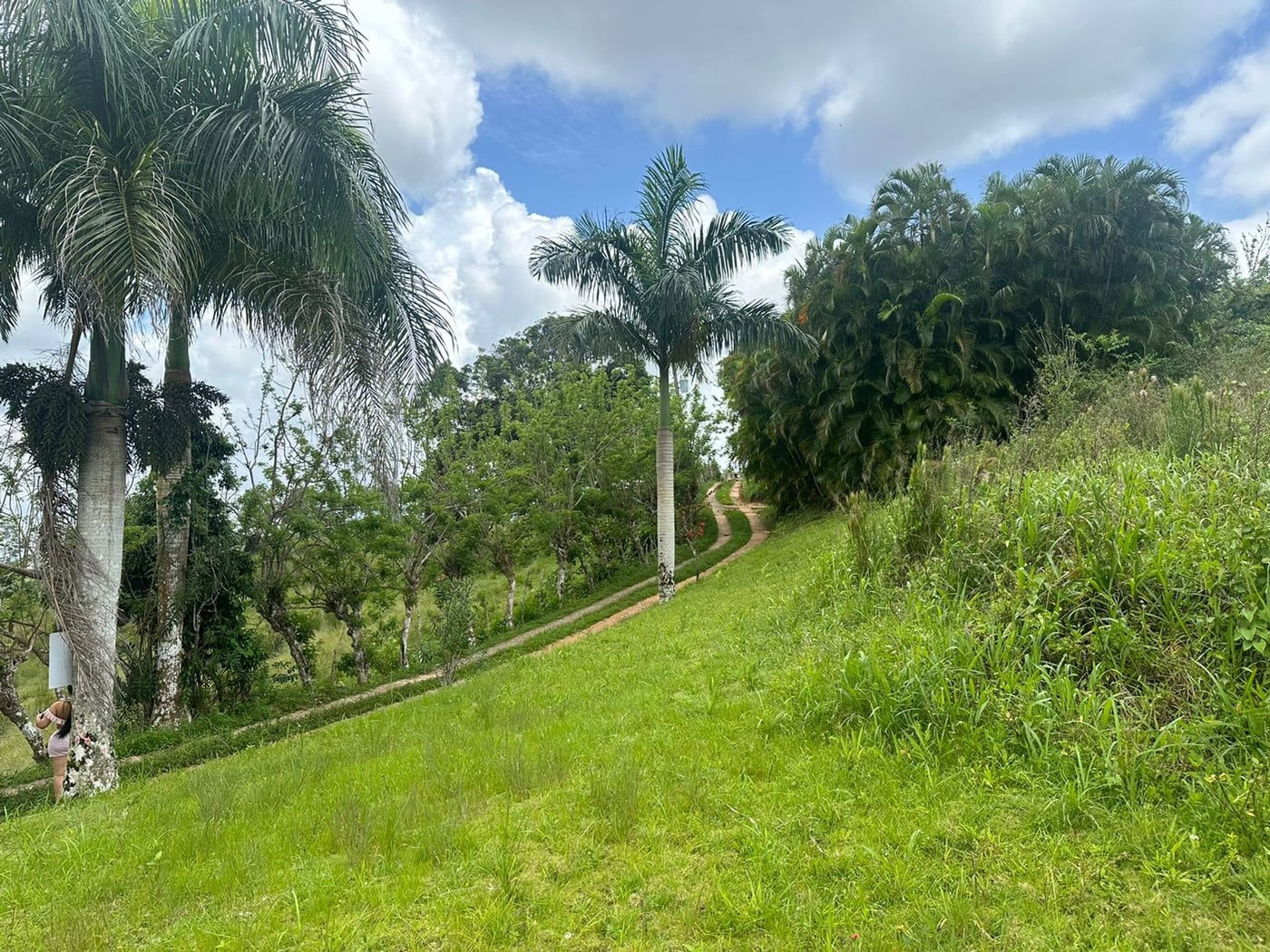 Terreno en Los Puentes, Las Terrenas Samana – foto 11