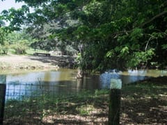 Gran terreno en venta en La Victoria, Santo Domingo Norte – foto 8