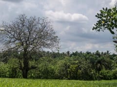 Gran terreno en venta en La Victoria, Santo Domingo Norte – foto 2
