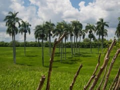 Gran terreno en venta en La Victoria, Santo Domingo Norte – foto 3