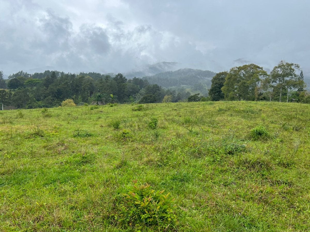 Terreno En Manabao, Jarabacoa – foto 3
