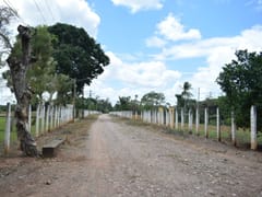Finca en venta de inversión – foto 8