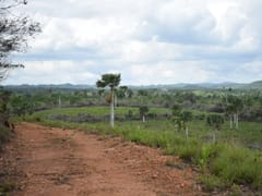 Finca en venta de inversión – foto 7
