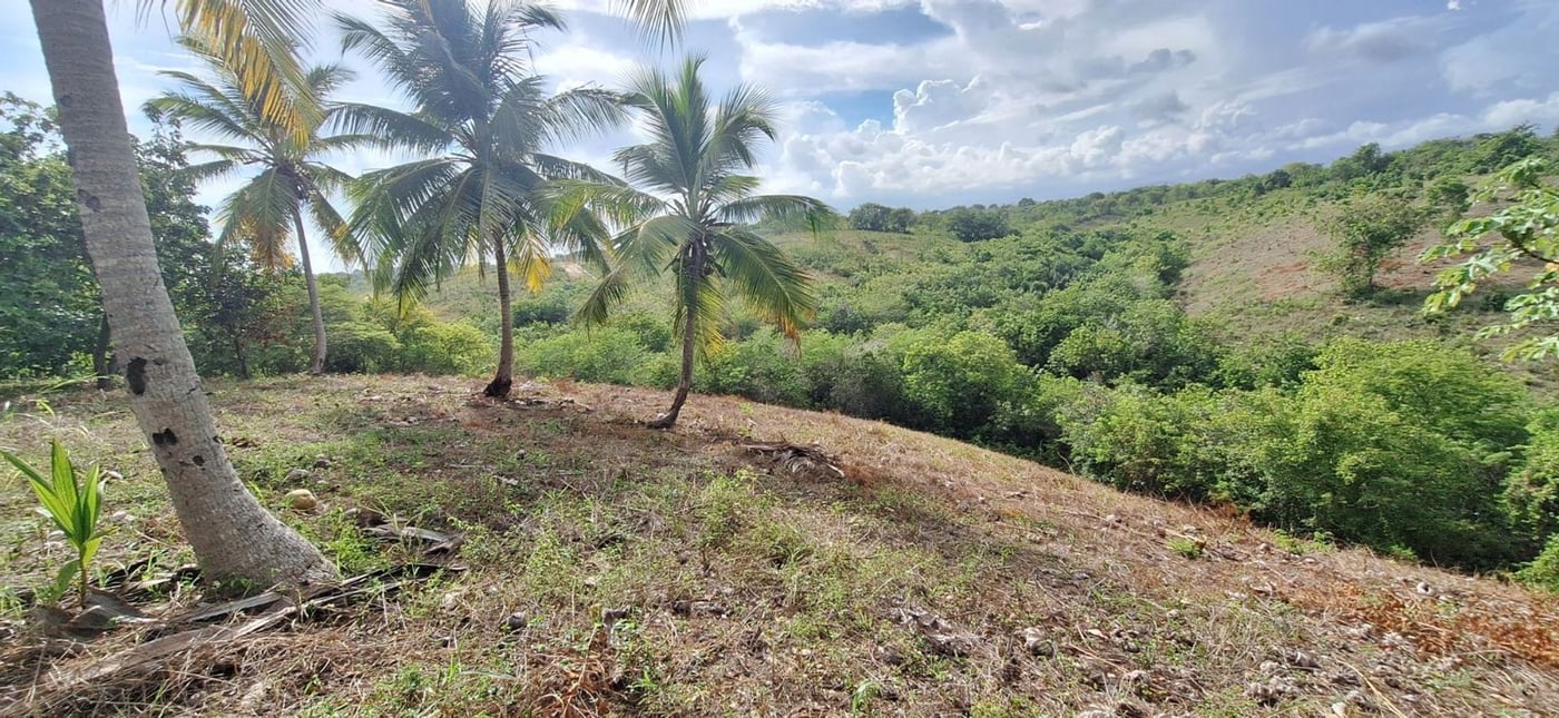 Finca de 6,692 m2 a 5 minutos de playa – foto 7
