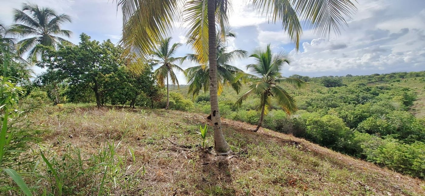 Finca de 6,692 m2 a 5 minutos de playa – foto 8