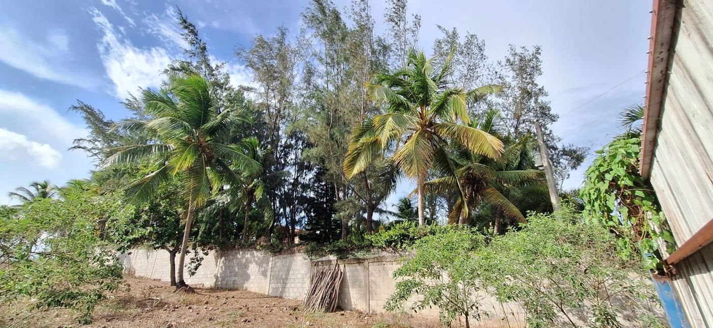 Finca de 6,692 m2 a 5 minutos de playa – foto 11