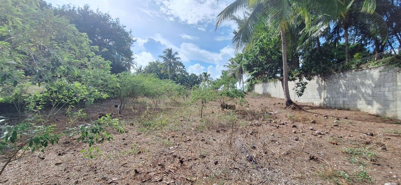 Finca de 6,692 m2 a 5 minutos de playa – foto 2