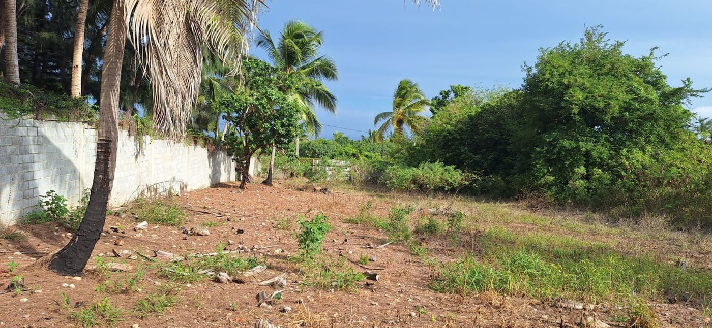 Finca de 6,692 m2 a 5 minutos de playa – foto 10