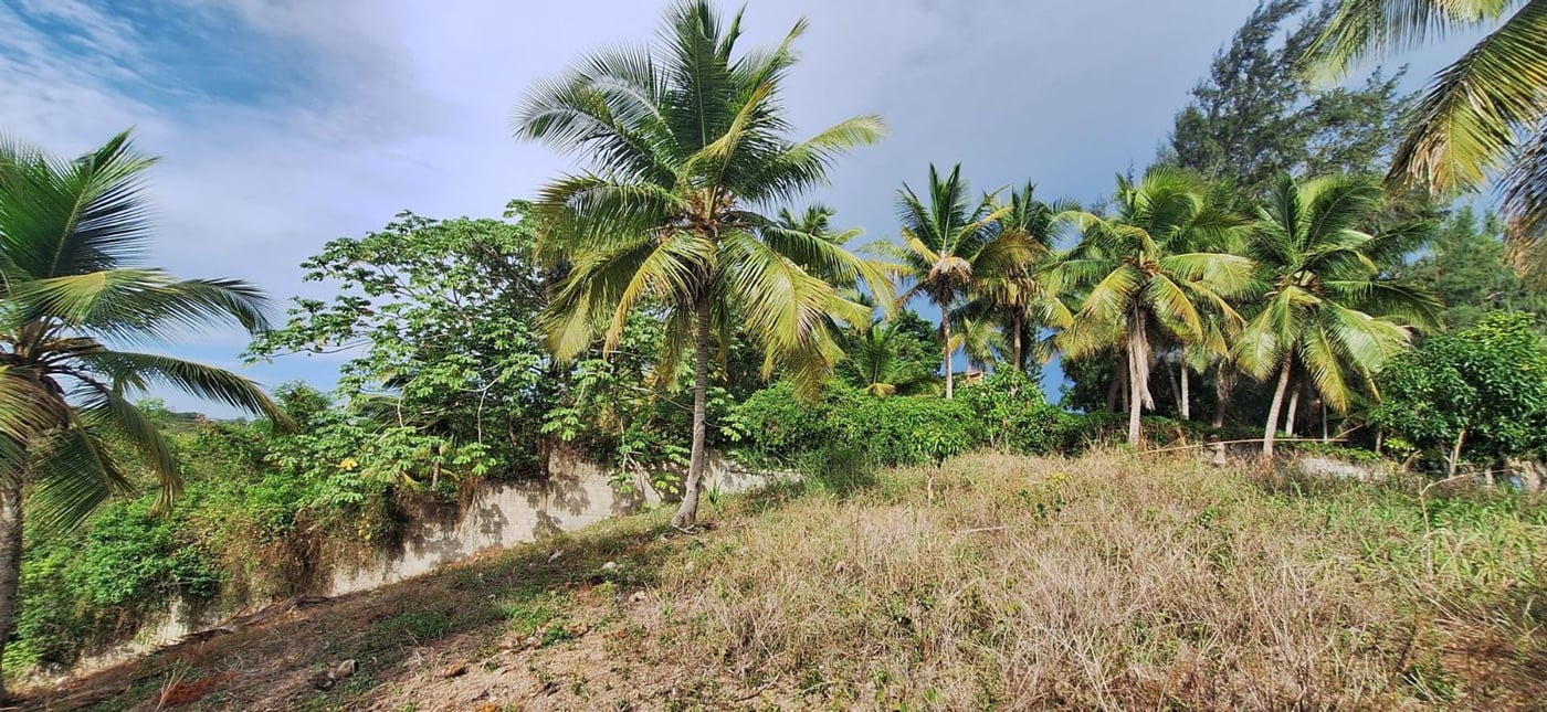 Finca de 6,692 m2 a 5 minutos de playa – foto 9