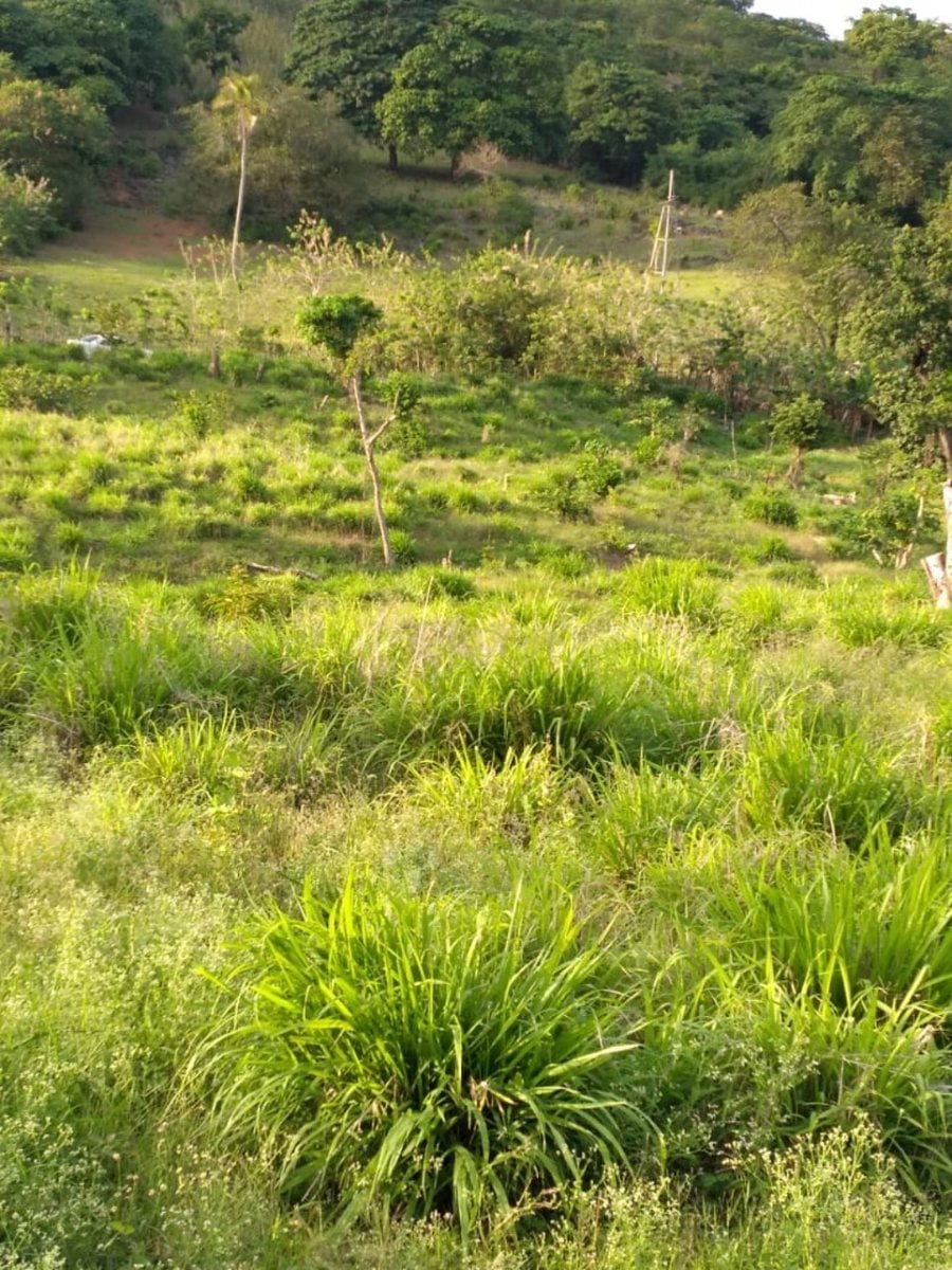 Terreno en Samaná, Las Galeras, 6290 m² – foto 2