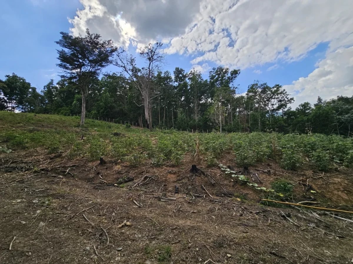 Terreno en Venta en Los Mogotes – foto 7