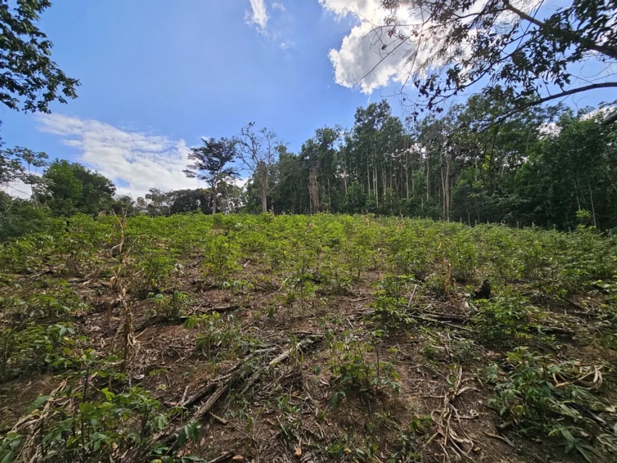 Terreno en Venta en Los Mogotes – foto 12