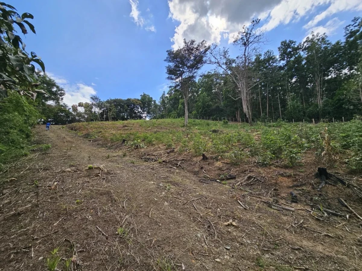 Terreno en Venta en Los Mogotes – foto 8