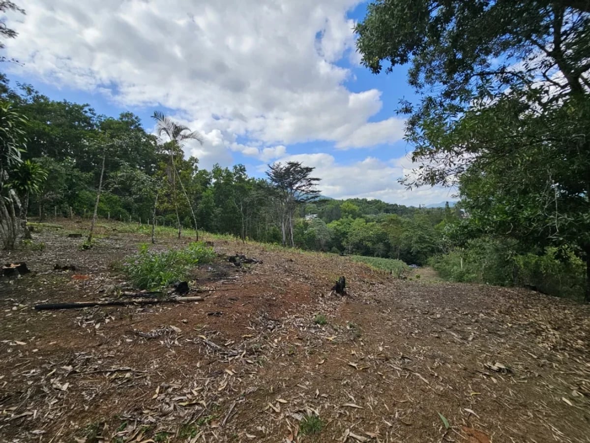 Terreno en Venta en Los Mogotes – foto 9