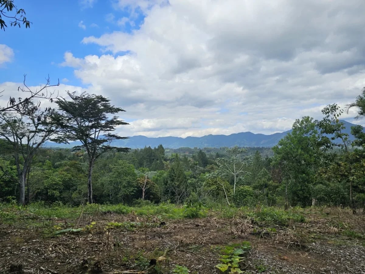 Terreno en Venta en Los Mogotes – foto 2
