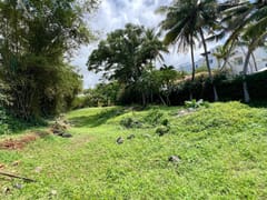 Terreno en venta en Oceanfront land in Ocean Village – foto 6