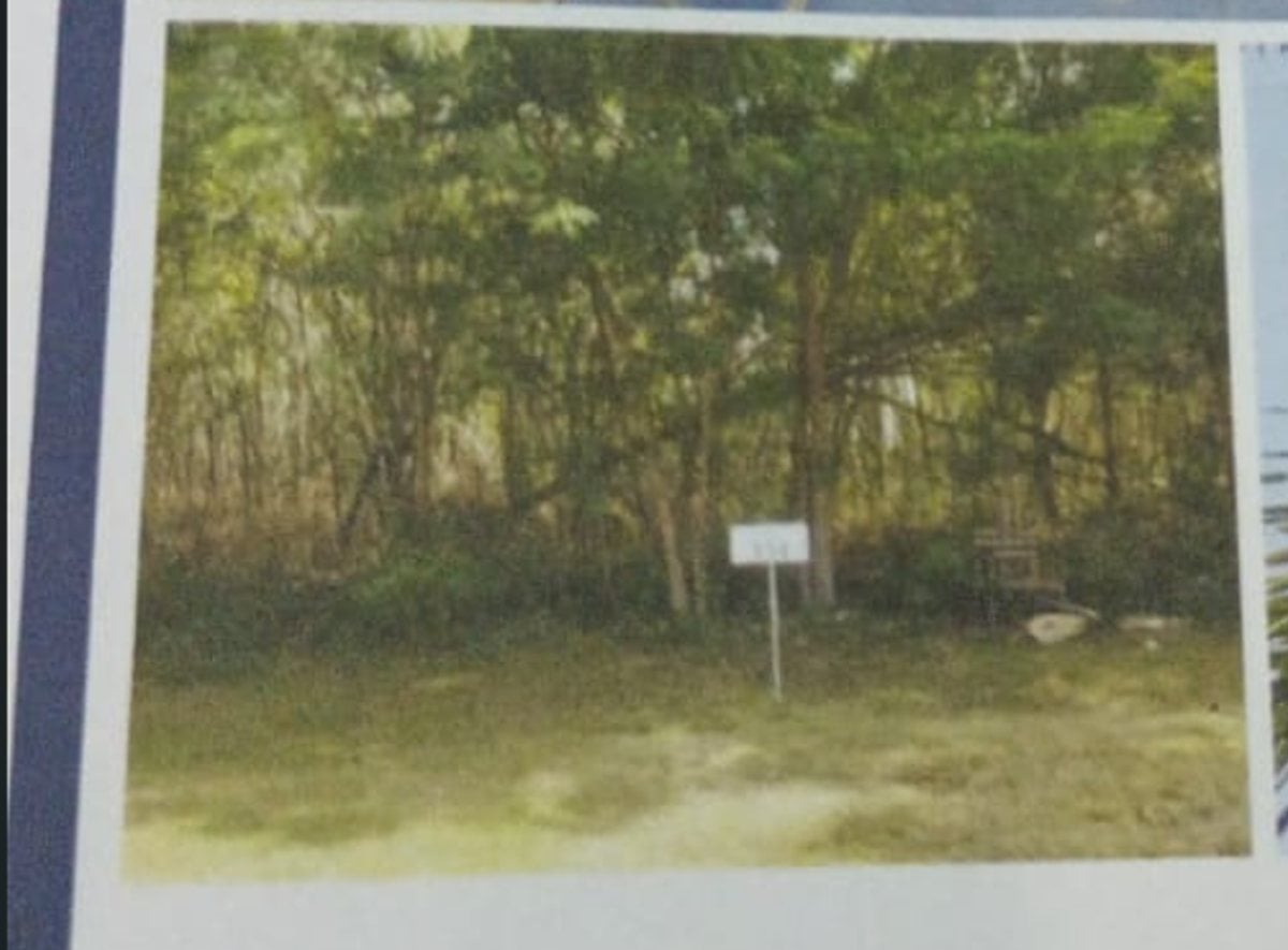 Terreno en Playa Nueva Romana, San Pedro – foto 3