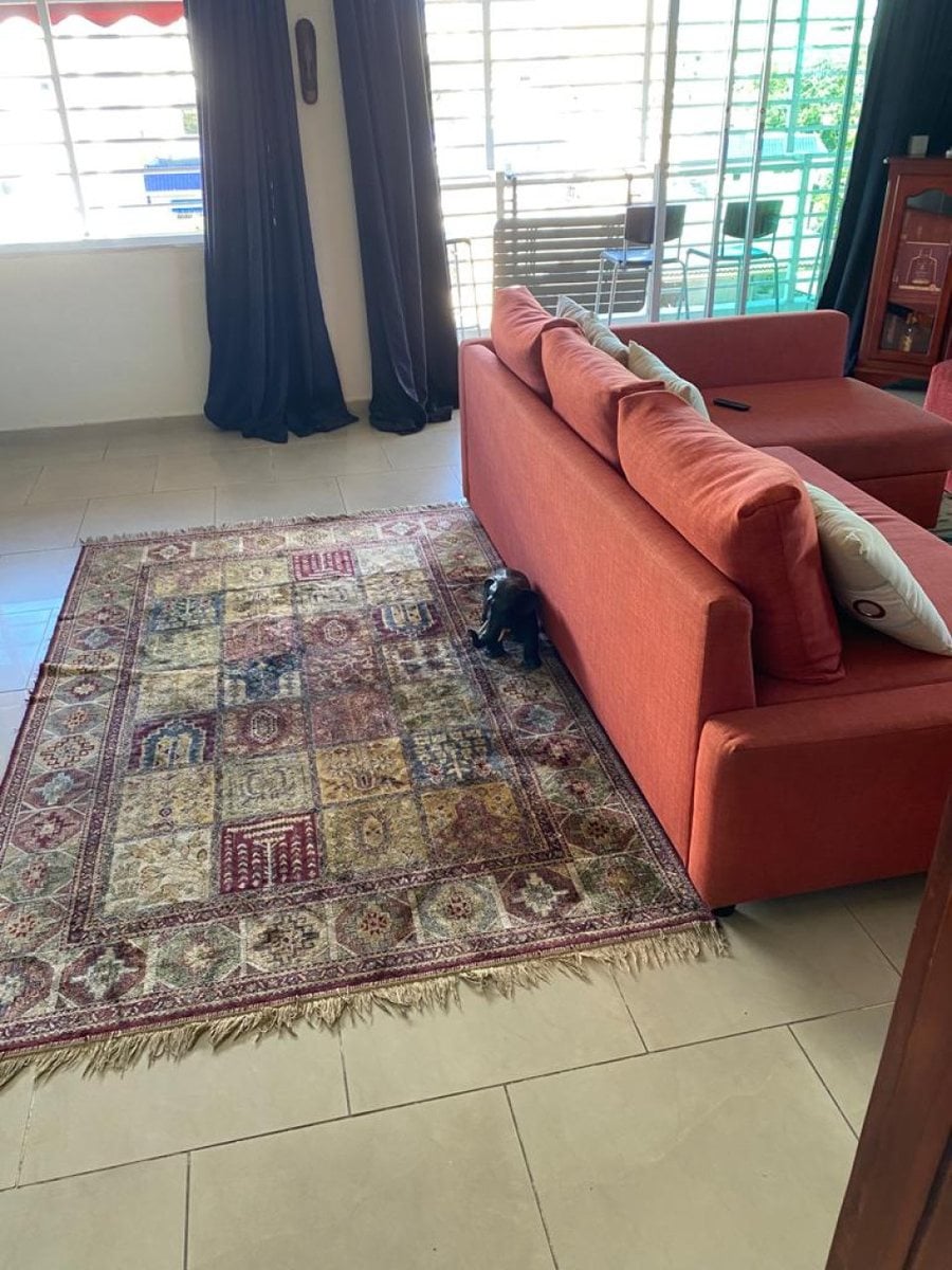 Apartamento amueblado en Gazcue, Santo Domingo – foto 7