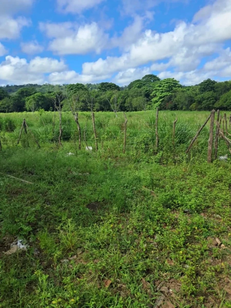 Terreno en Los Castillos, Santo Domingo Norte – foto 2