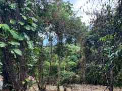 Terreno en venta en Lomas Lindas, Pedro Brand – foto 2