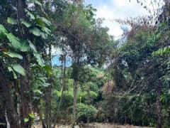 Terreno en venta en Lomas Lindas, Pedro Brand – foto 3