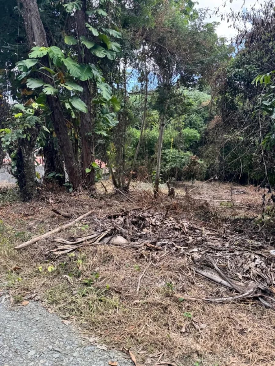 Terreno en venta en Lomas Lindas, Pedro Brand – foto 1