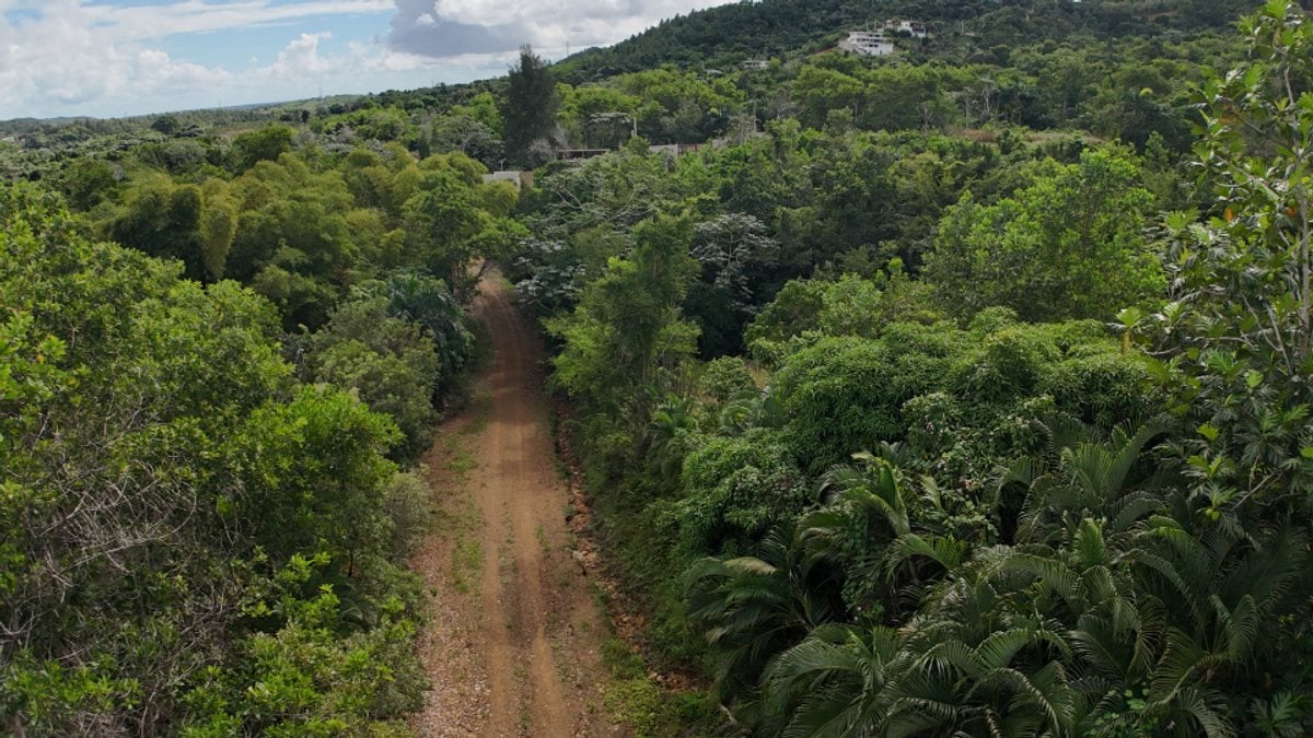 Proyecto de terreno en La Cuaba, Pedro Brand – foto 4