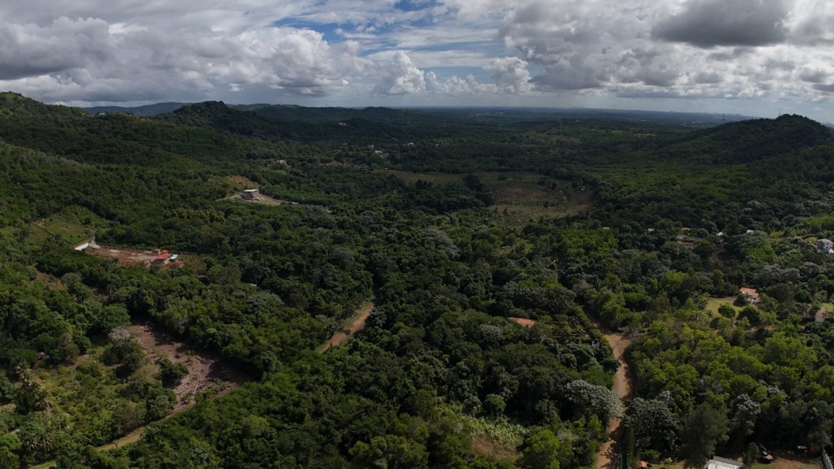 Proyecto de terreno en La Cuaba, Pedro Brand – foto 3