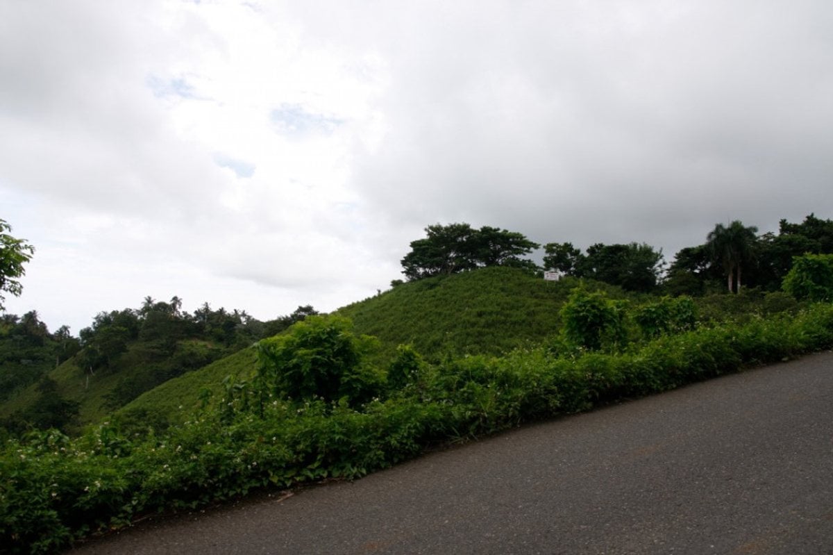 Terreno en Samaná Las Terrenas, El Jamito – foto 5