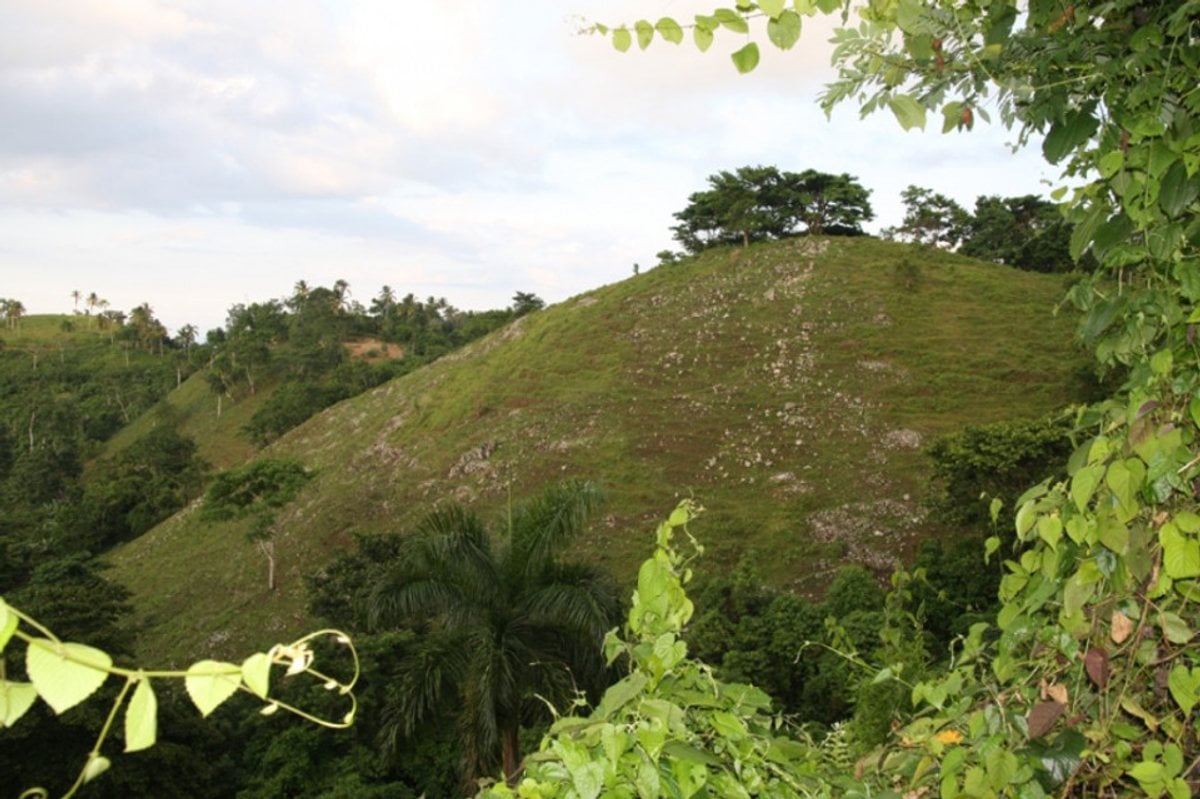 Terreno en Samaná Las Terrenas, El Jamito – foto 4