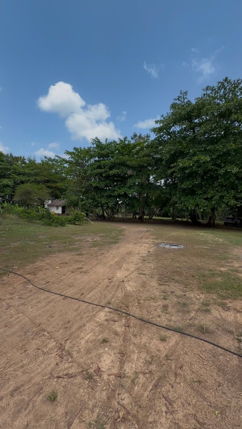 Terreno en Venta en Quintas del Tosa, SDN – foto 6