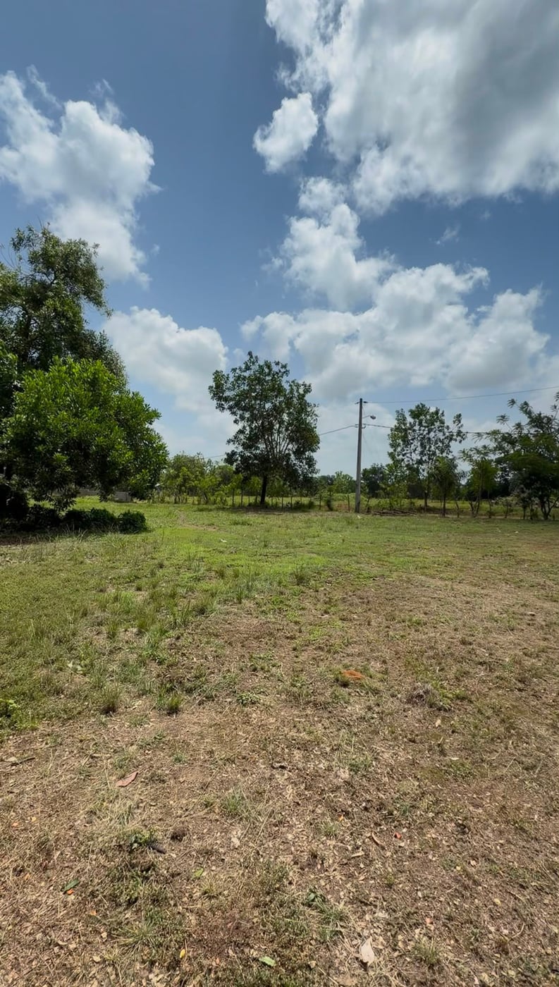 Terreno en Venta en Quintas del Tosa, SDN – foto 1