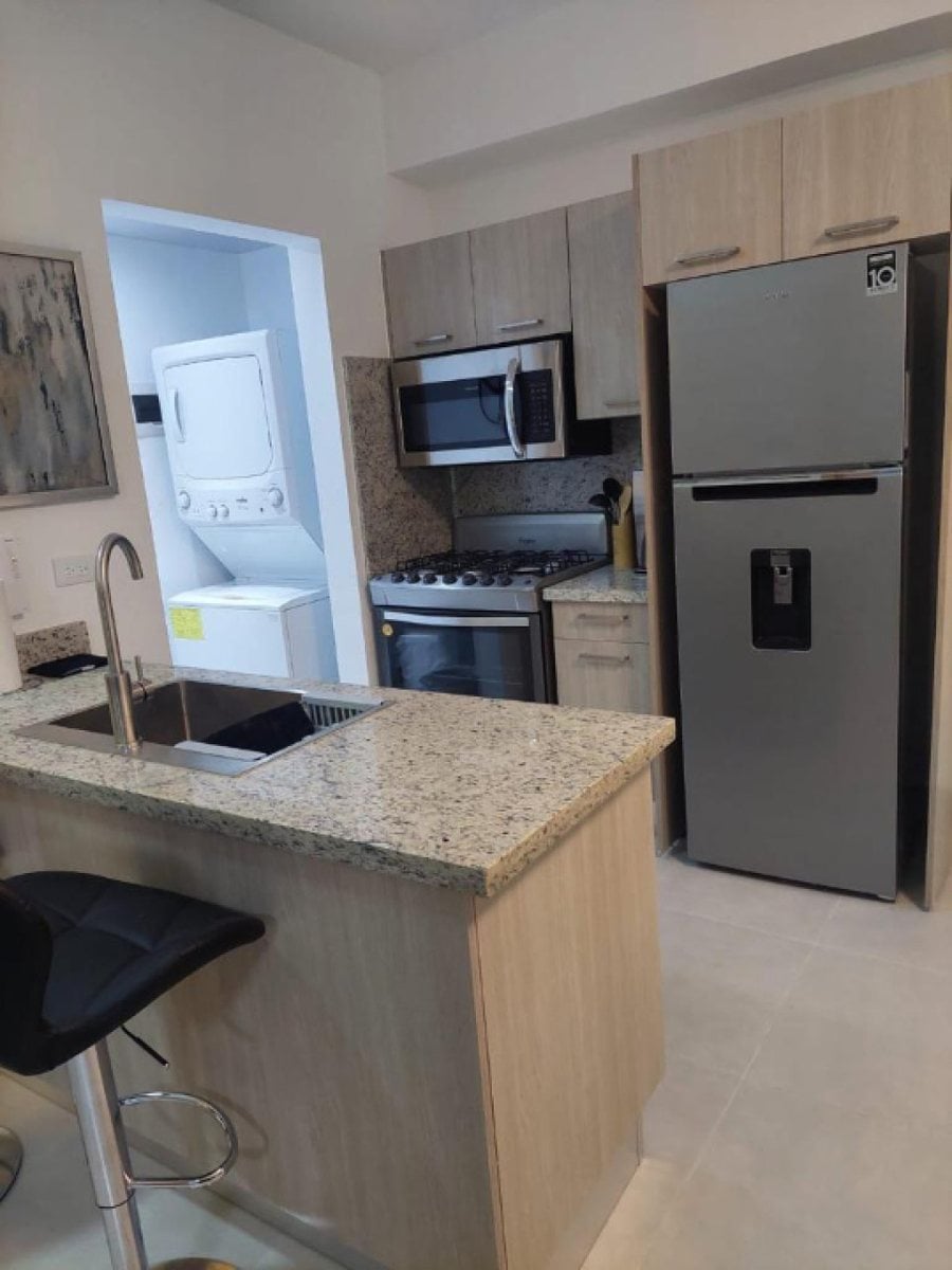 Ens. Naco Alquiler Apto Amueblado 65m² – foto 5