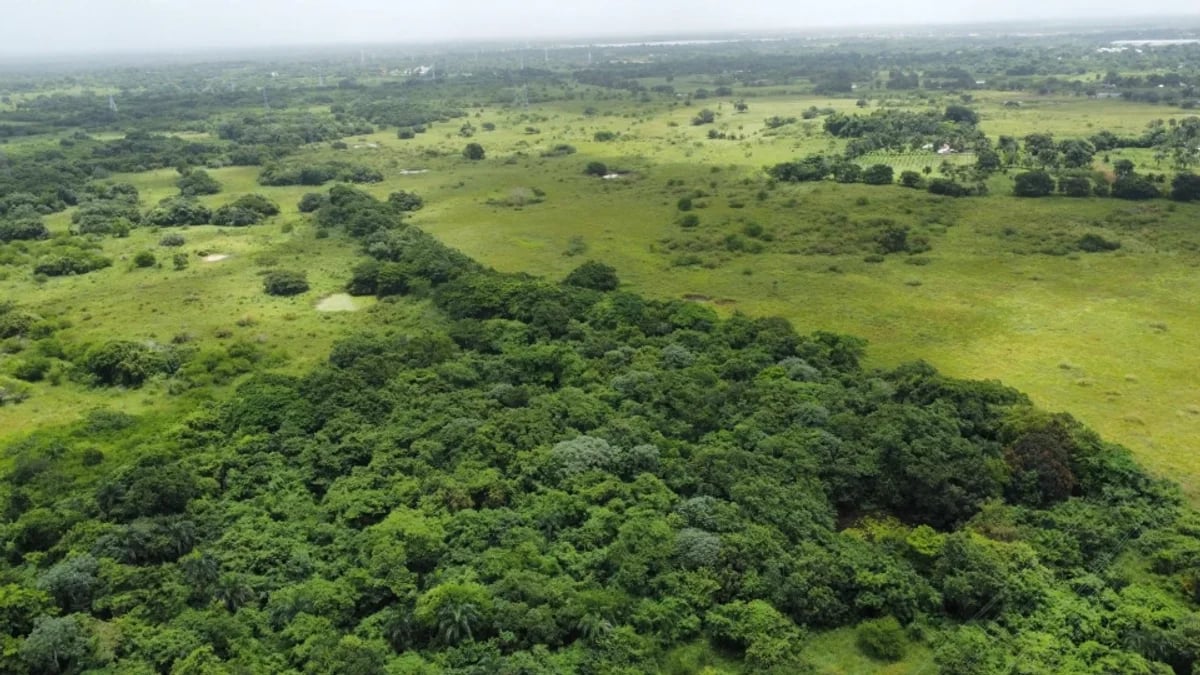 Terreno en Batey El Naranjo, Santo Domingo Este – foto 3
