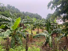 Terreno en venta en Río San Juan – foto 6