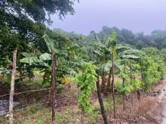 Terreno en venta en Río San Juan – foto 4