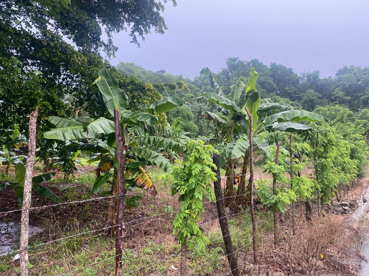 Terreno en Venta en Río San Juan – foto 4