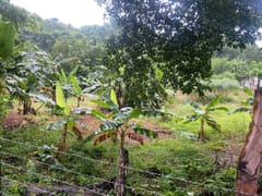 Terreno en venta en Río San Juan – foto 2