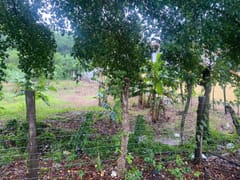 Terreno en venta en Río San Juan – foto 3
