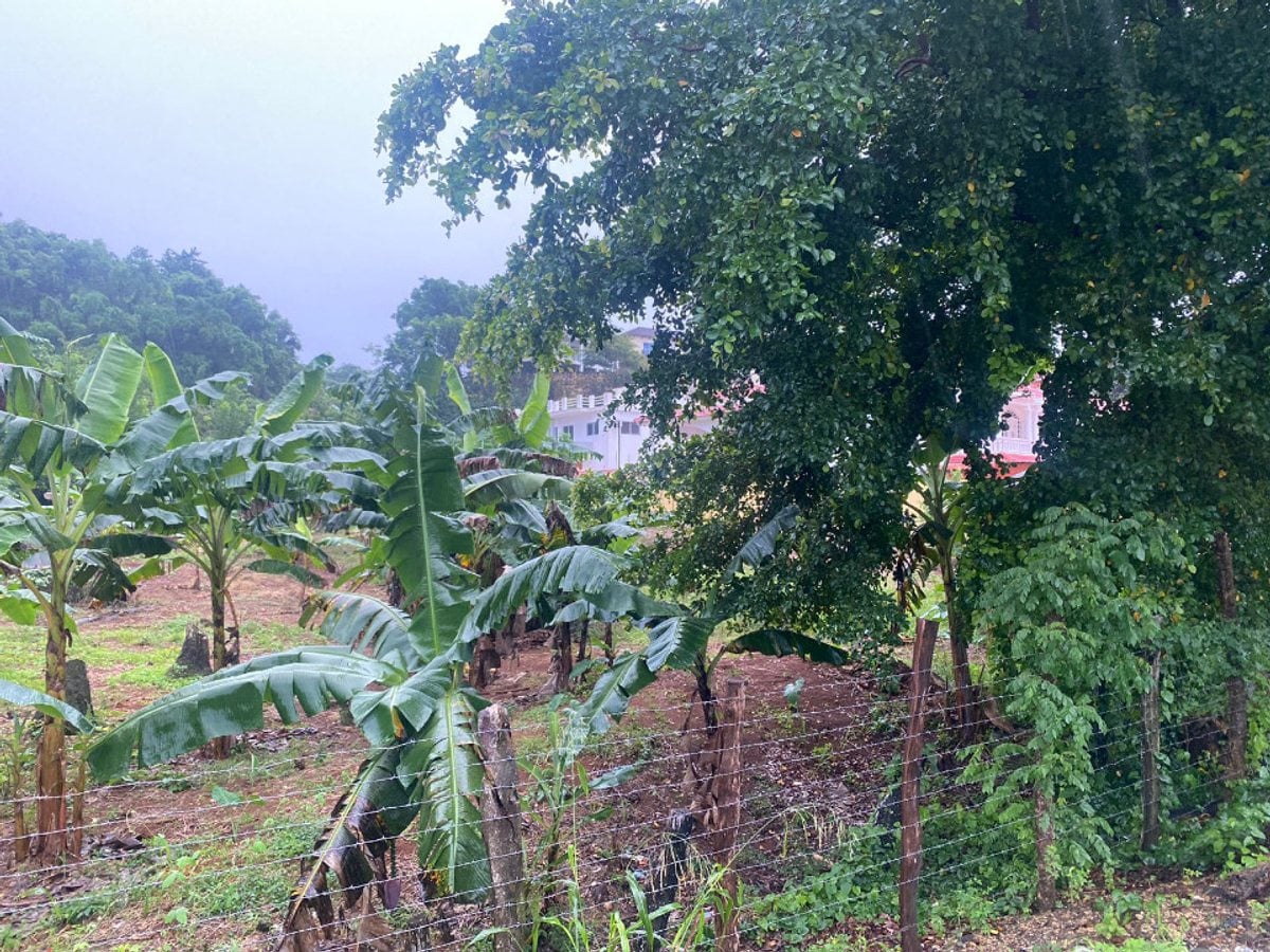 Terreno en Venta en Río San Juan – foto 7