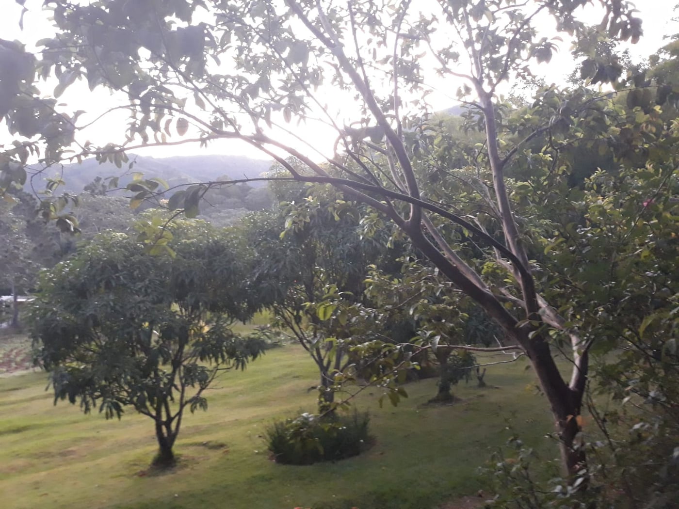 Terreno Jarabacoa Mata de Platano – foto 12