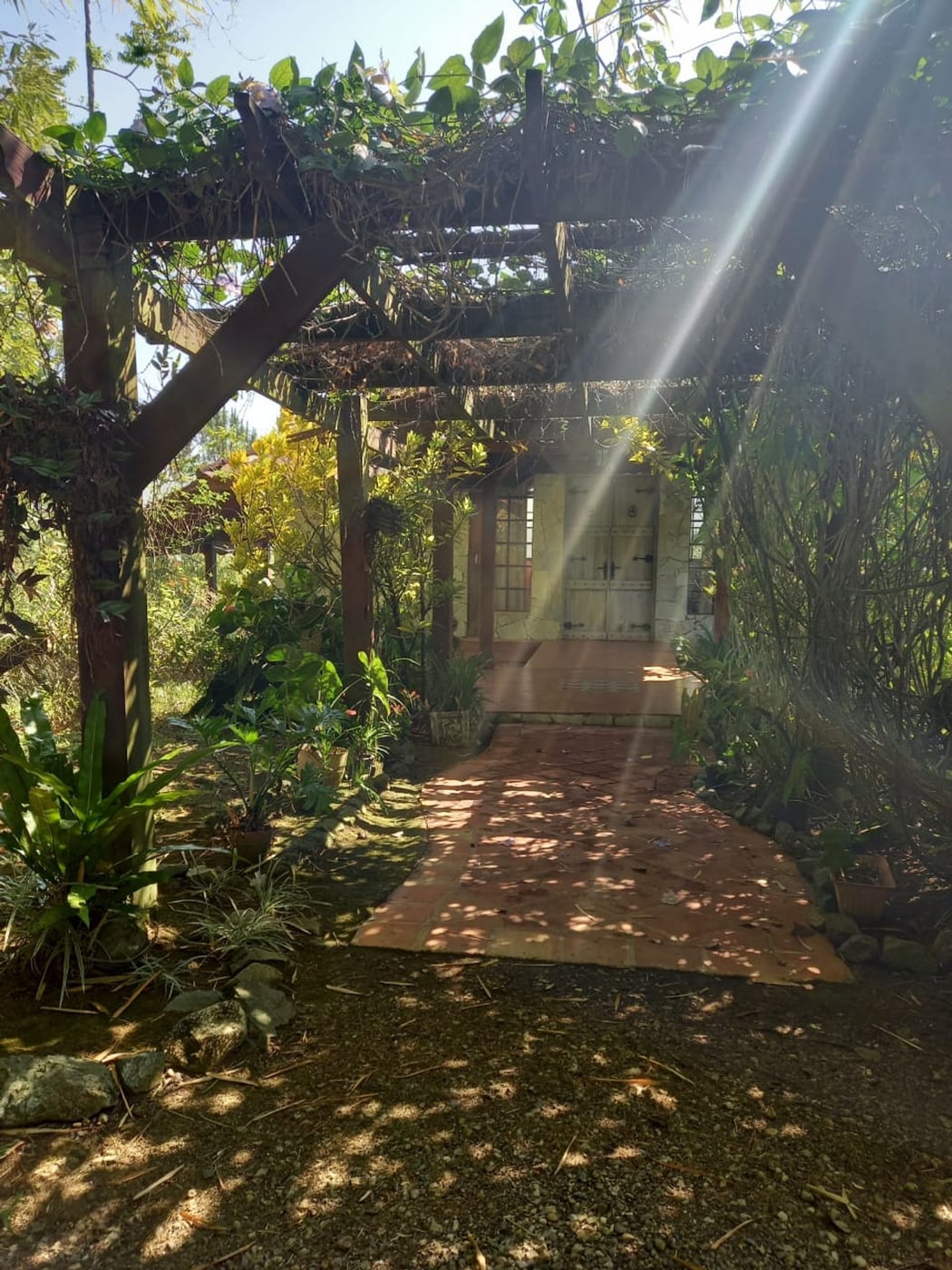 Terreno Jarabacoa Mata de Platano – foto 5
