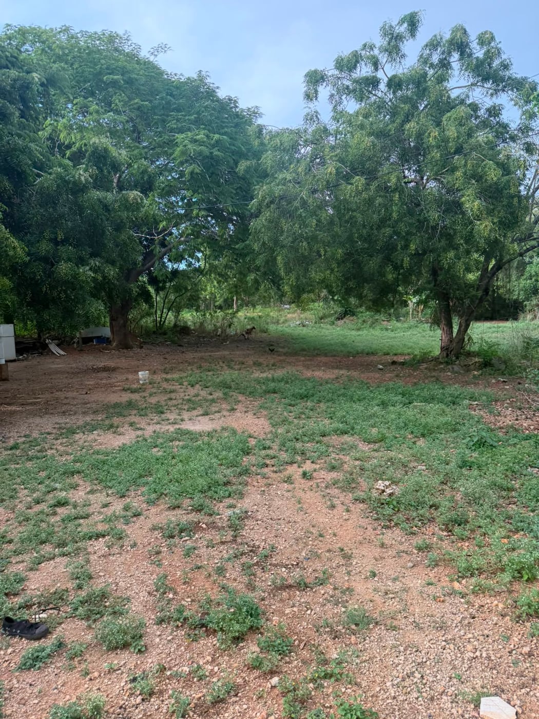 Terreno en venta en La Ureña – foto 4
